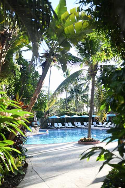 Pool The Palms Hotel & Spa