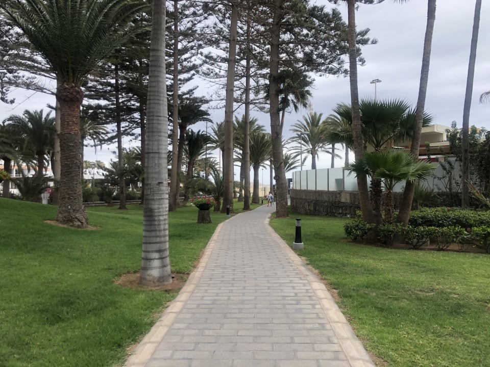 Gartenanlage Hotel Riu Palace Oasis