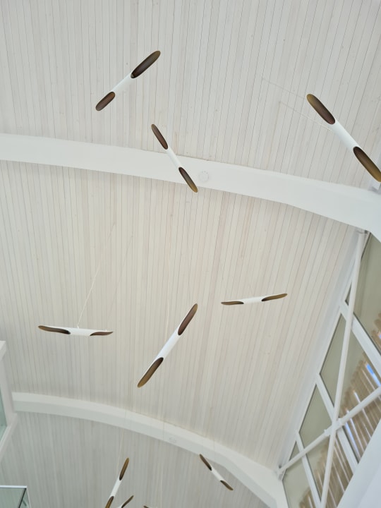 Lobby TUI BLUE Insula Alba