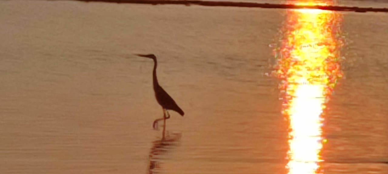 Strand Kuramathi Maldives