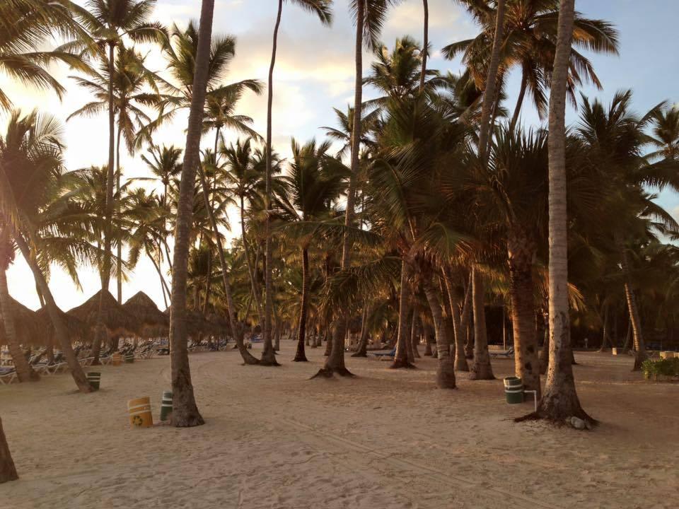 Sonnenaufgang Meliá Caribe Beach Resort-All Inclusive