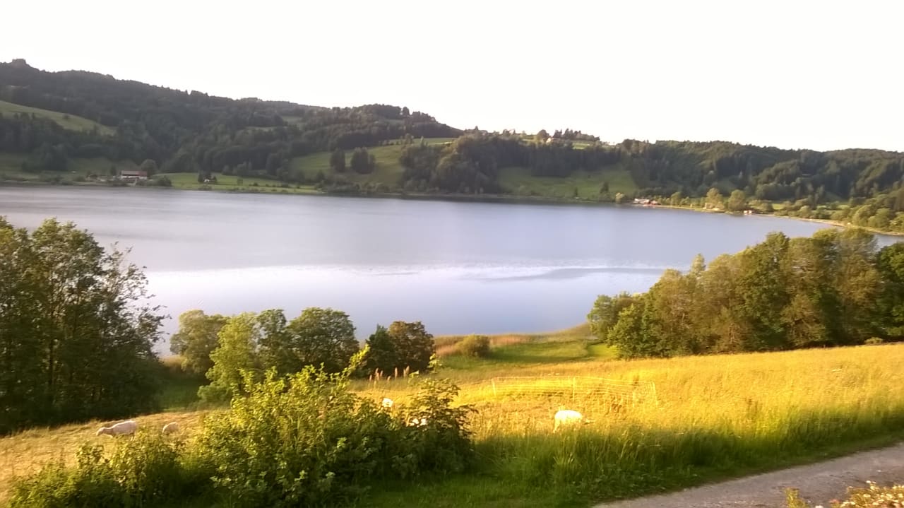 Ausblick Landhaus Sinz über'm See