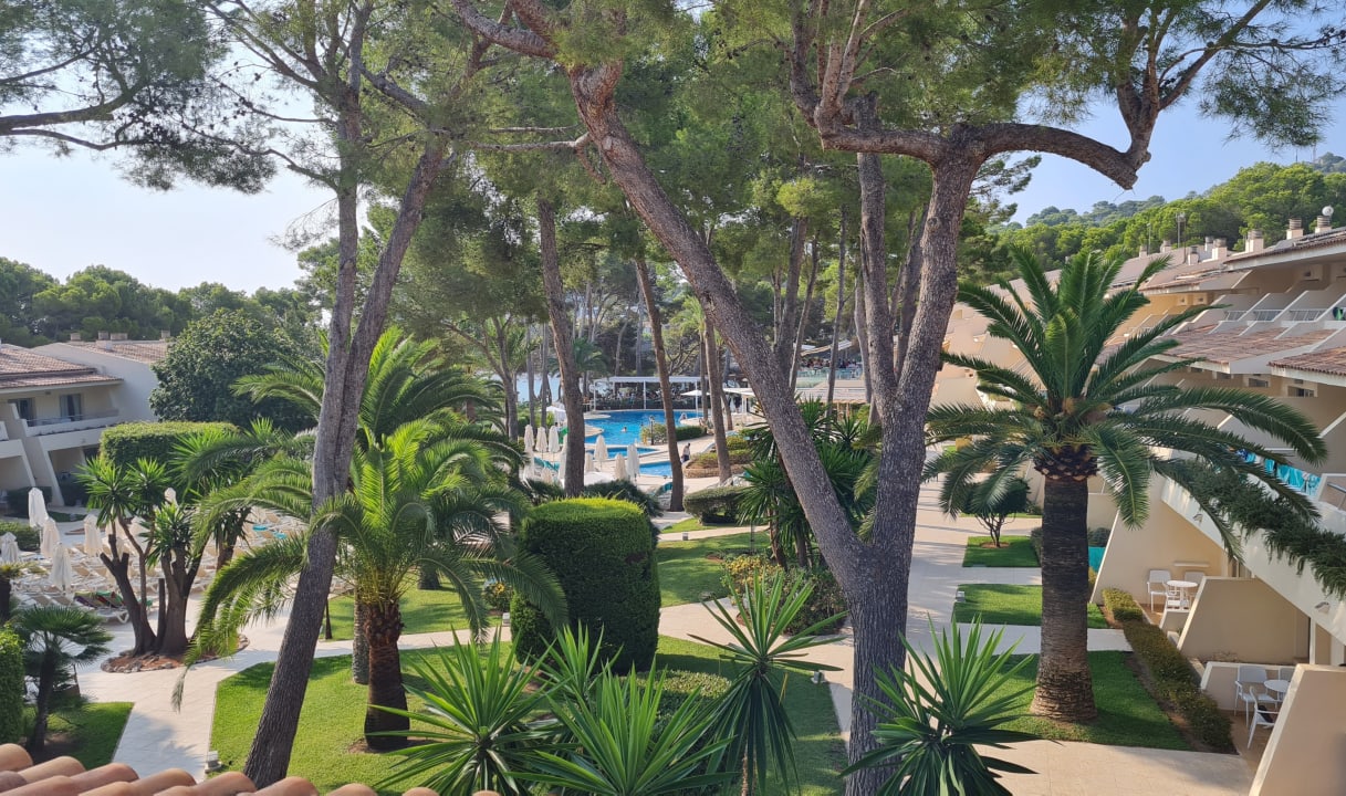 Gartenanlage Iberostar Waves Pinos Park