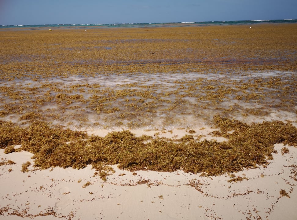 Strand Hotel Grand Palladium Palace Resort, Spa & Casino