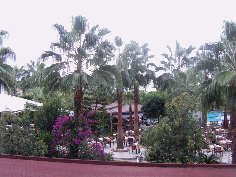 Garten Hane Family Resort