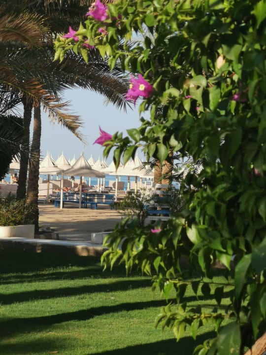 Ausblick The Grand Hotel Hurghada