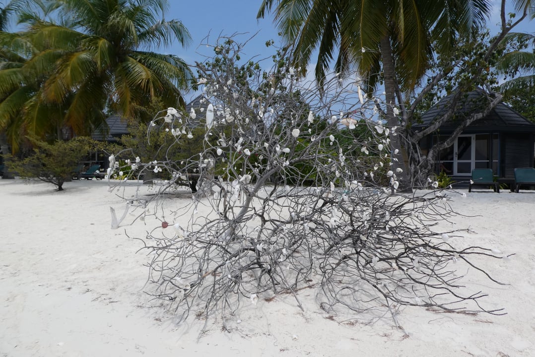 Strand Kuredu Island Resort & Spa