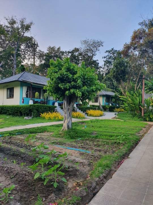 Gartenanlage Sai Kaew Beach Resort
