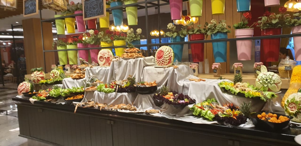 Gastro Seashell Vega