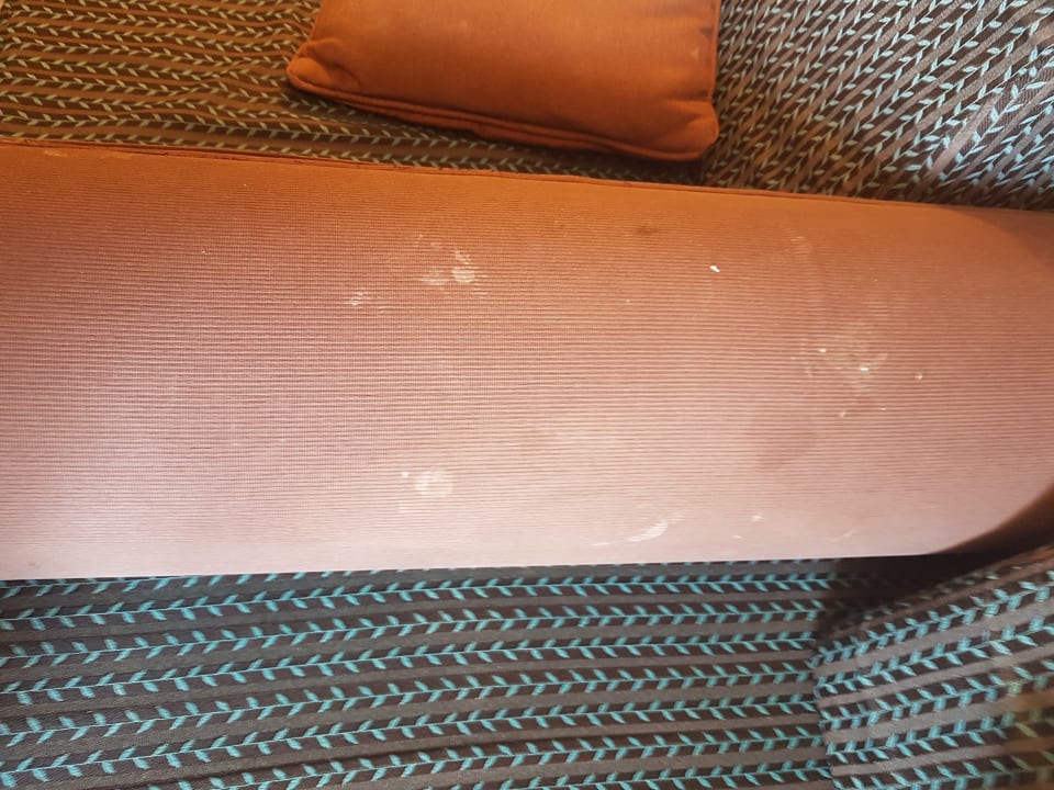 Zimmer Pickalbatros Citadel Resort