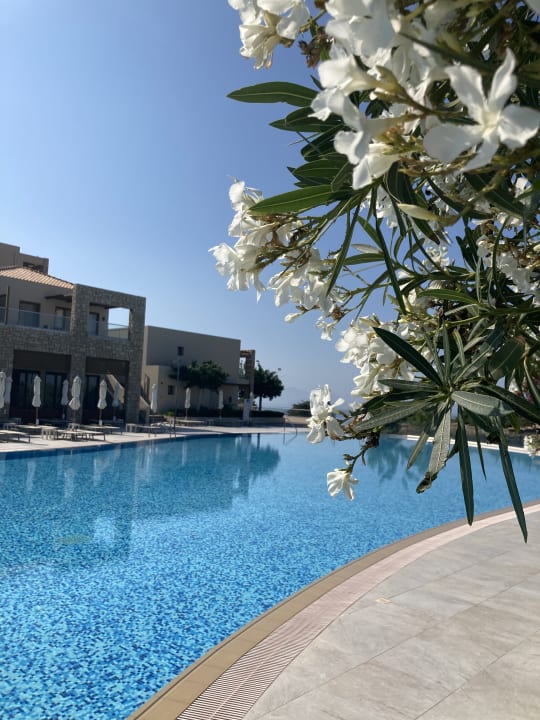 Pool Blue Lagoon Village