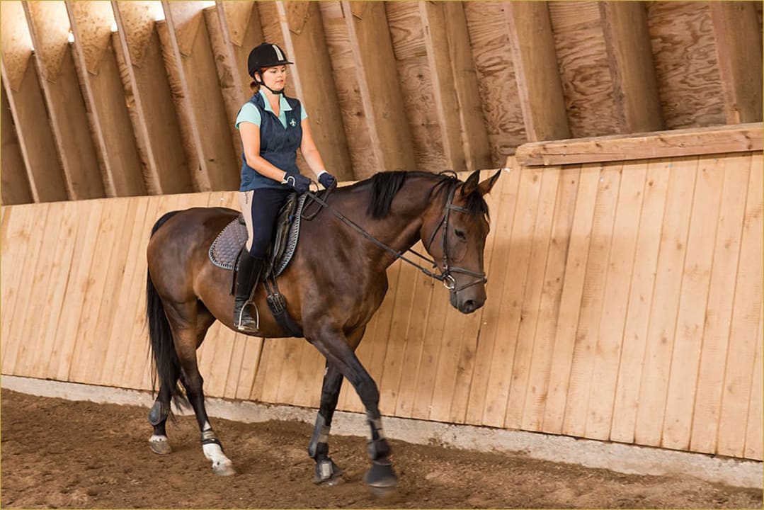 Rundgang per FotoShooting Sommer 2015 Hotel Reiterhof Altmühlsee