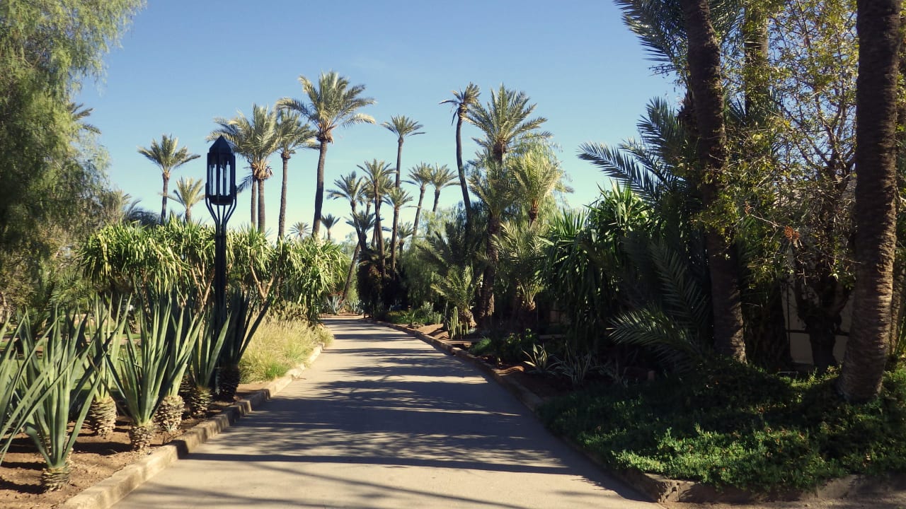 Anlage Hotel Riu Tikida Garden - Adults Only