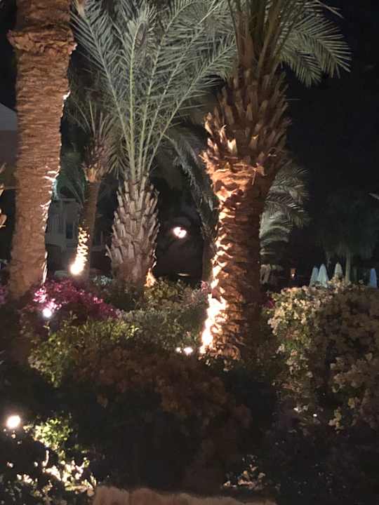 Gartenanlage Mövenpick Resort & Spa El Gouna