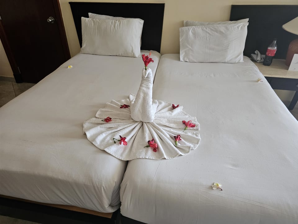 Zimmer Casa Mare Resort