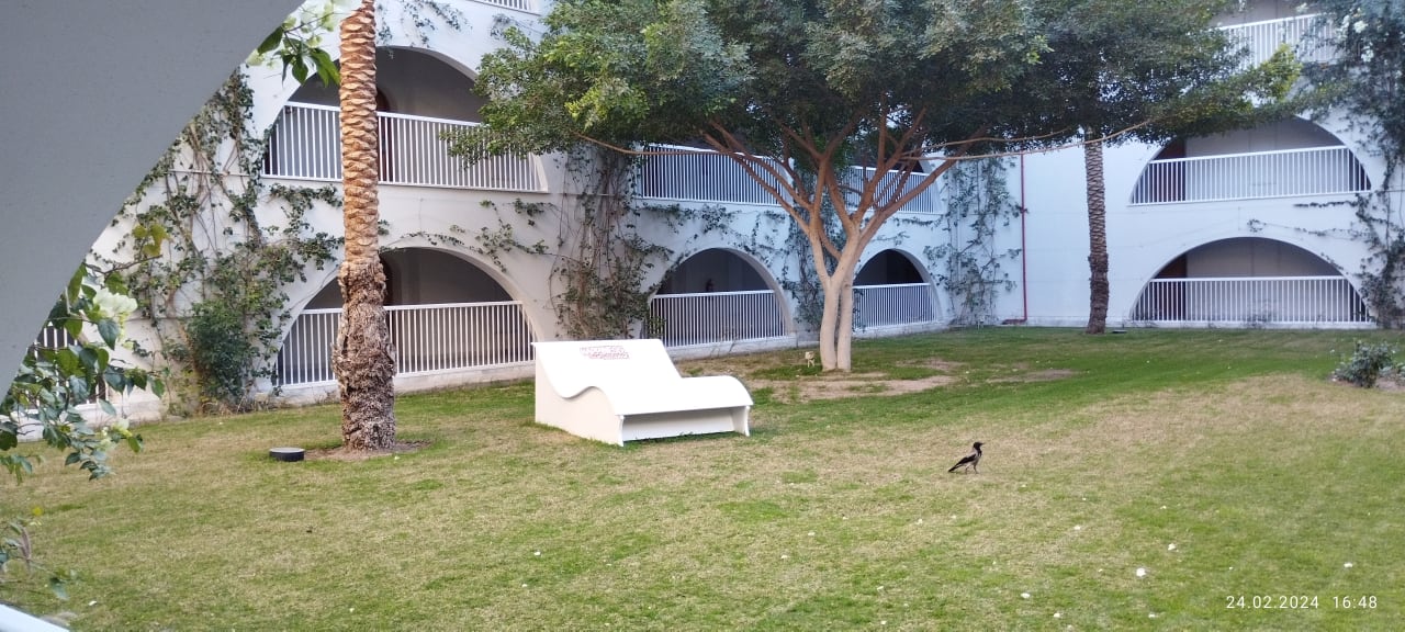 Ausblick Desert Rose