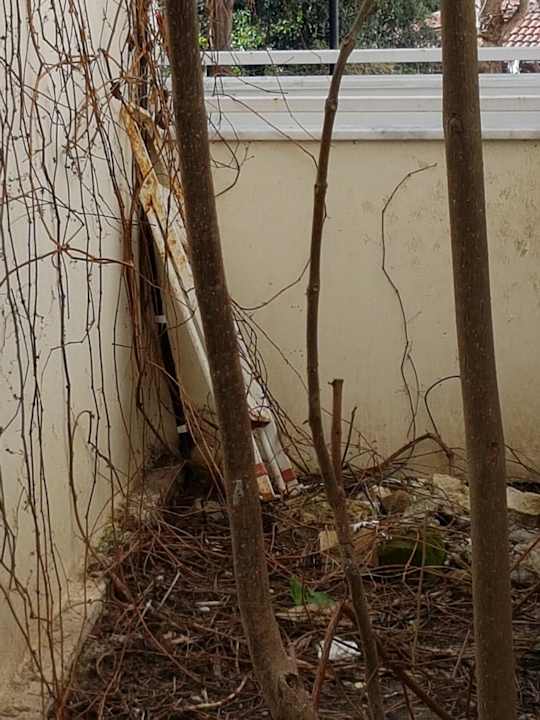 Zimmer Side Miami Beach