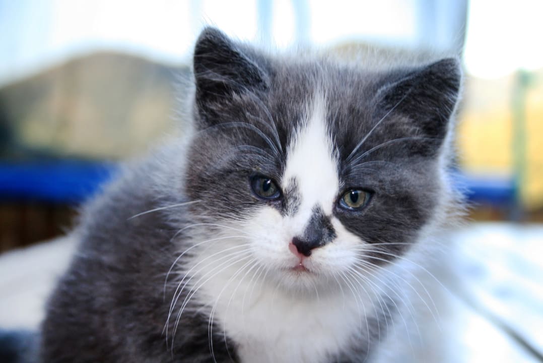 Sonstiges Bauernhof Bernhardenhof