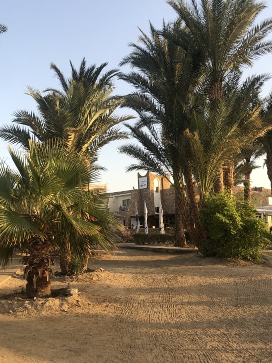 Gartenanlage Brayka Bay Resort