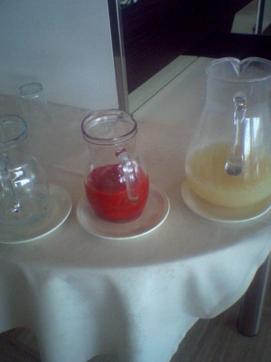 Mit Wasser verdünnte Säfte Hotel Petit Palais