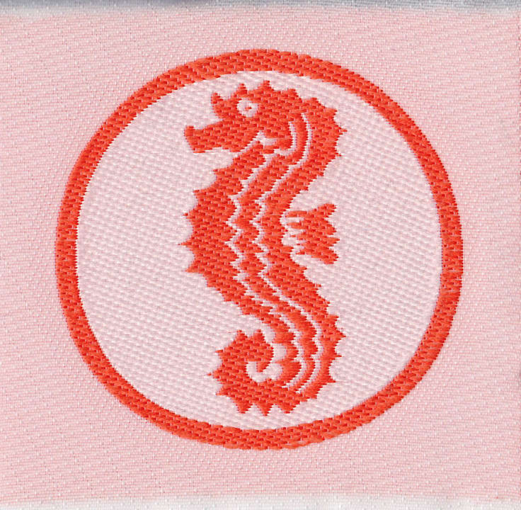 Seepferdchen von der Schwimmschule Balina Belek Beach Resort Hotel