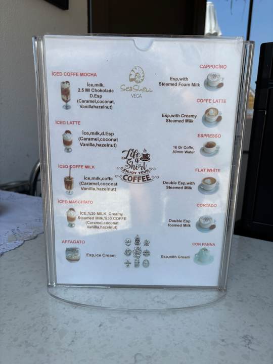 Strand Seashell Vega