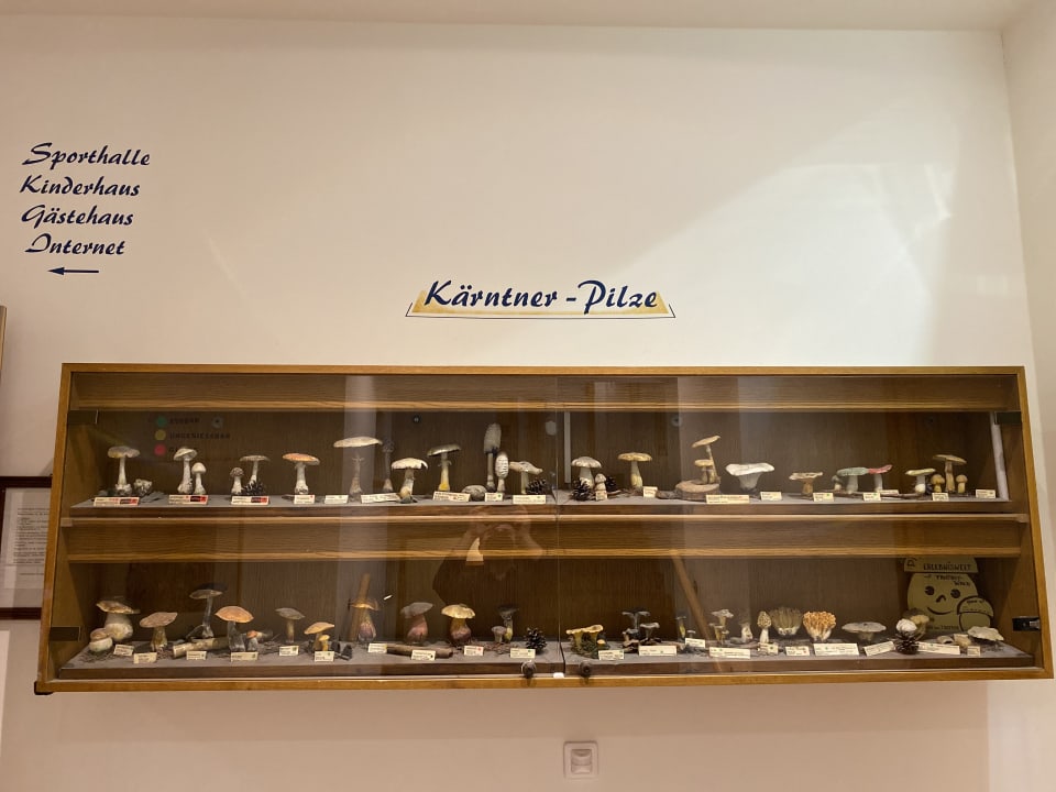 Sonstiges Familien -Sportresort Brennseehof