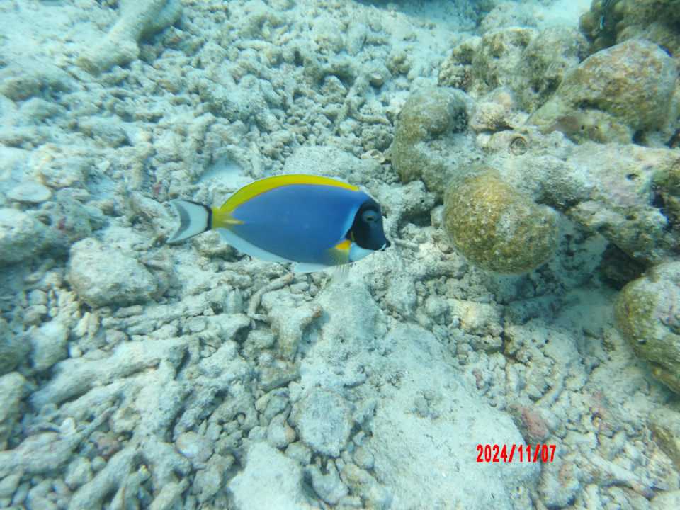 Sonstiges Vilamendhoo Island Resort & Spa