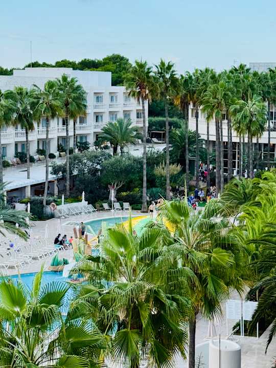 Pool Iberostar Selection Albufera Playa