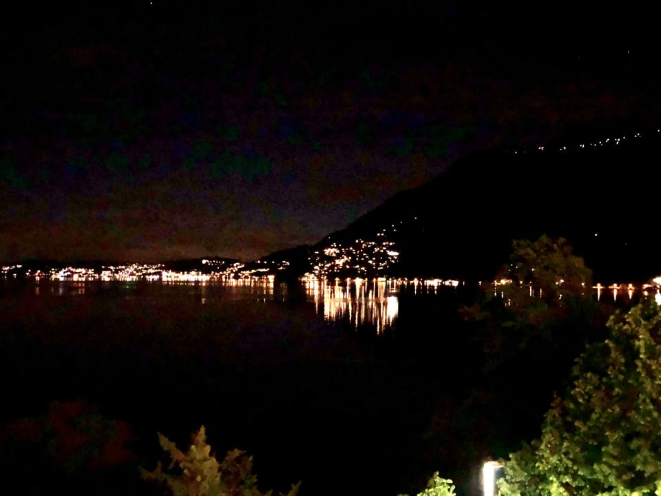 Ausblick See- und Seminarhotel FloraAlpina