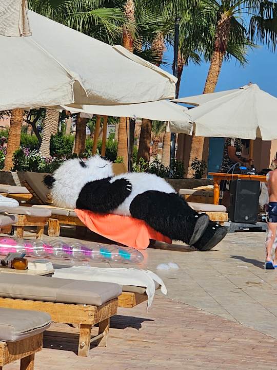 Pool Club Paradisio El Gouna, Red Sea