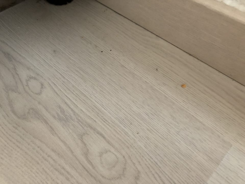 Zimmer Alcudia Garden Aparthotel