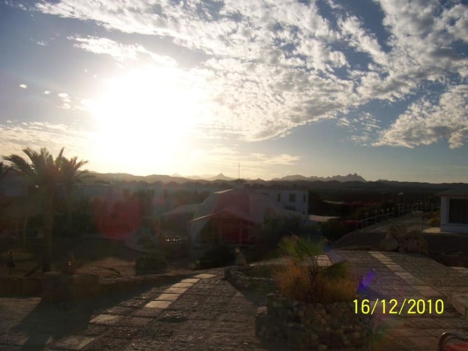 Der Sonne entgegen Hotel Coral Garden