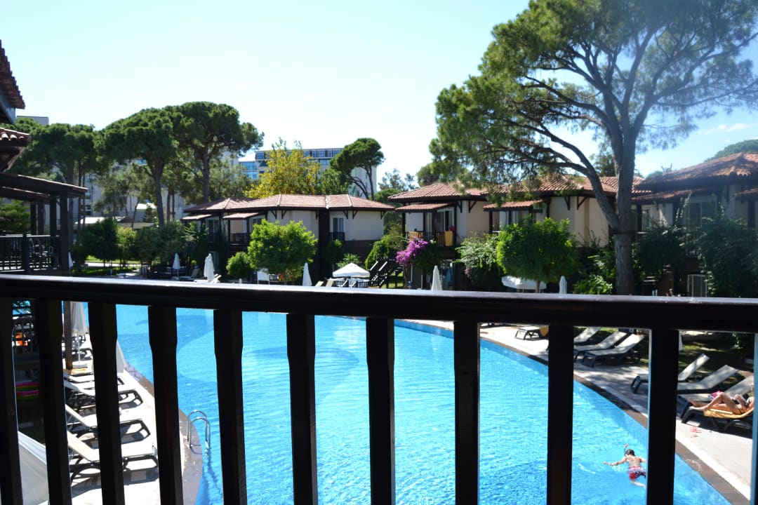 Balkon Papillon Ayscha