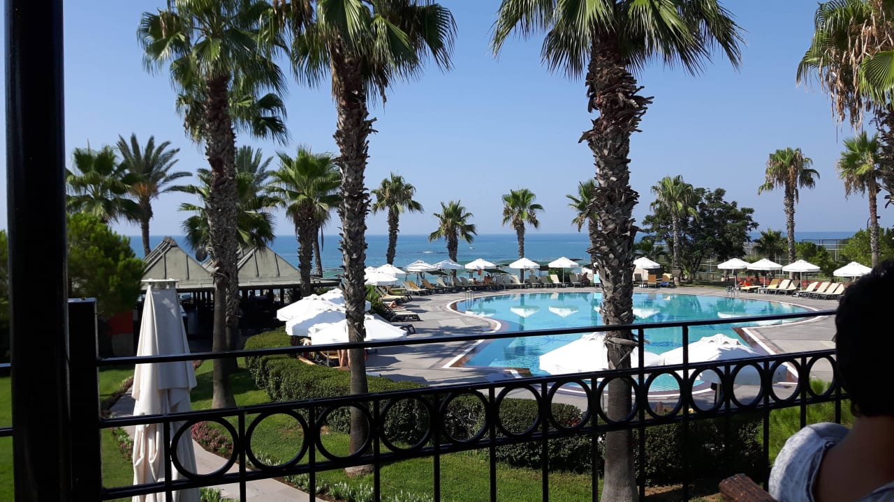 Adultpool Papillon Belvil