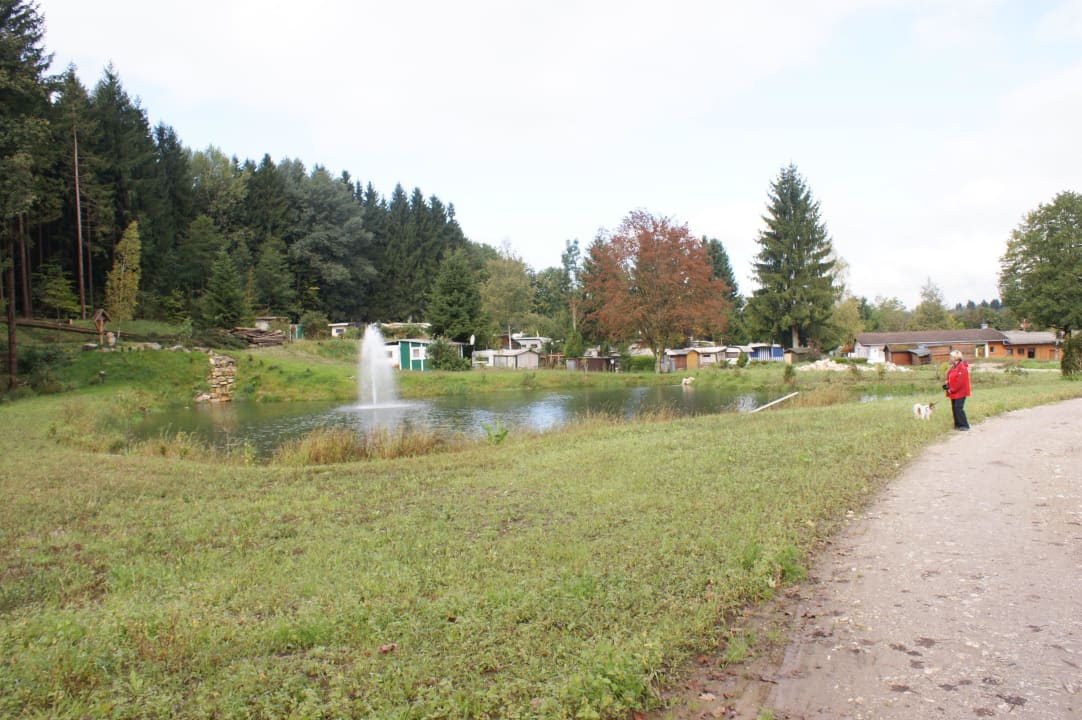 Teichanlage Bayern Chalets