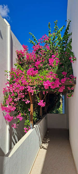 Außenansicht Ekaterini Hotel