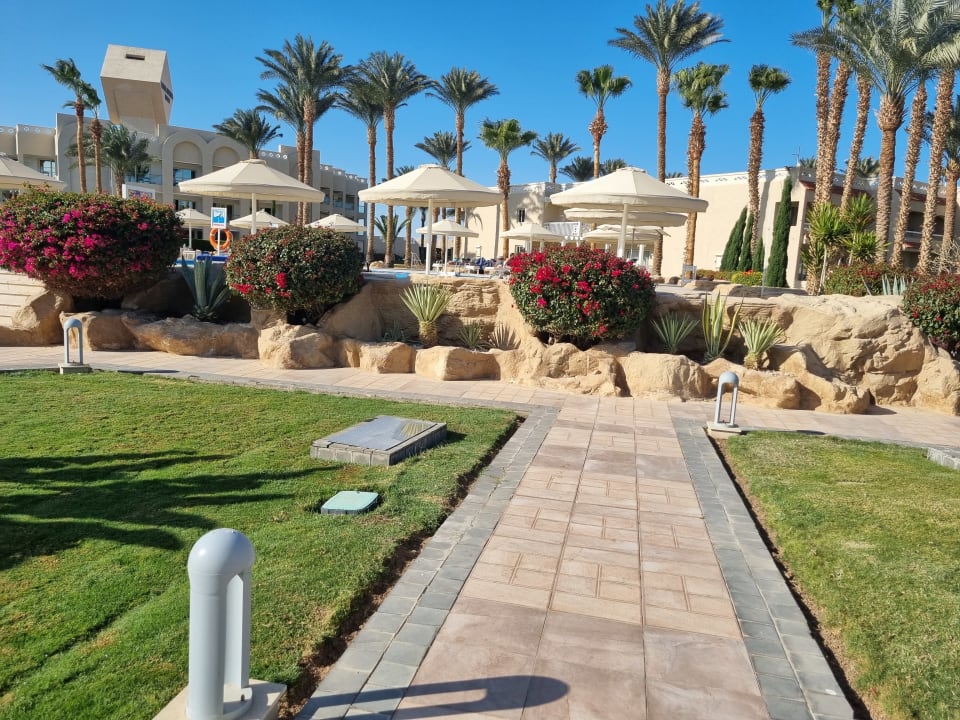 Gartenanlage Beach Albatros Resort