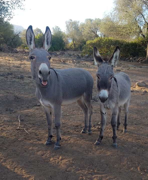 Sonstiges Hotel Ecoparco Neulè