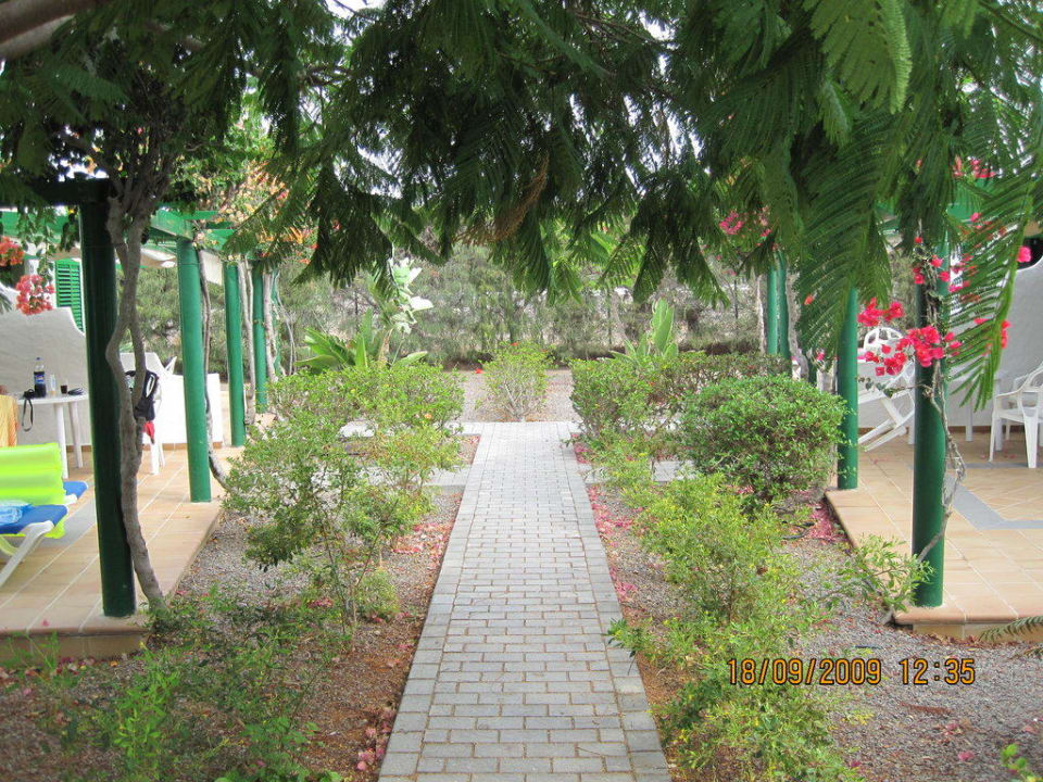 Der Weg zu unserem Bungalow Bungalows Cordial Sandy Golf