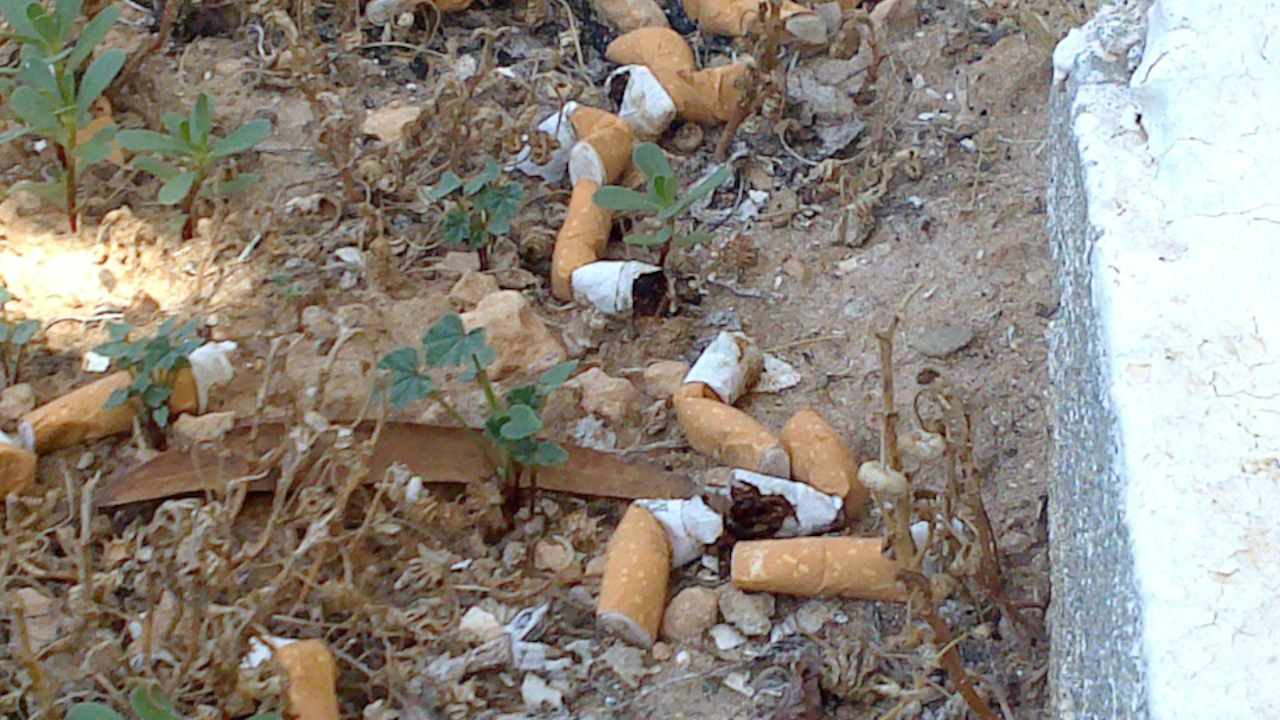 Kippen Alassio Hotel and Thalasso