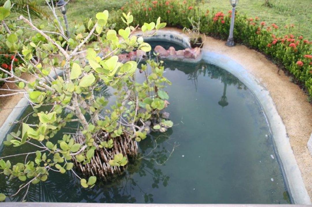 Ein kleiner Teich Ao Thai Resort