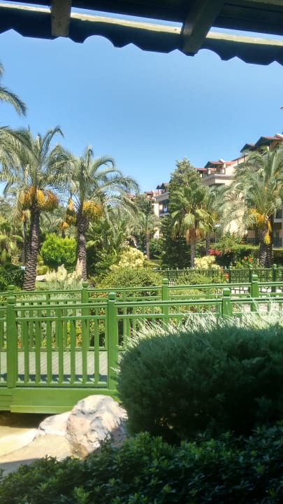 Ein Traum! Crystal Paraiso Aqua Collection