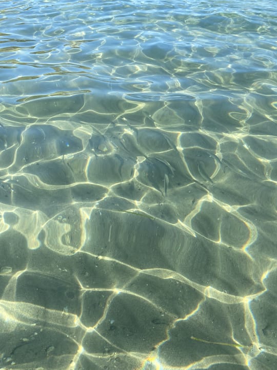 Strand Grecotel LUXME Daphnila Bay