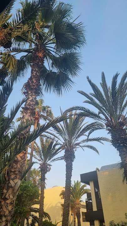 Gartenanlage Hotel Paradis Palace