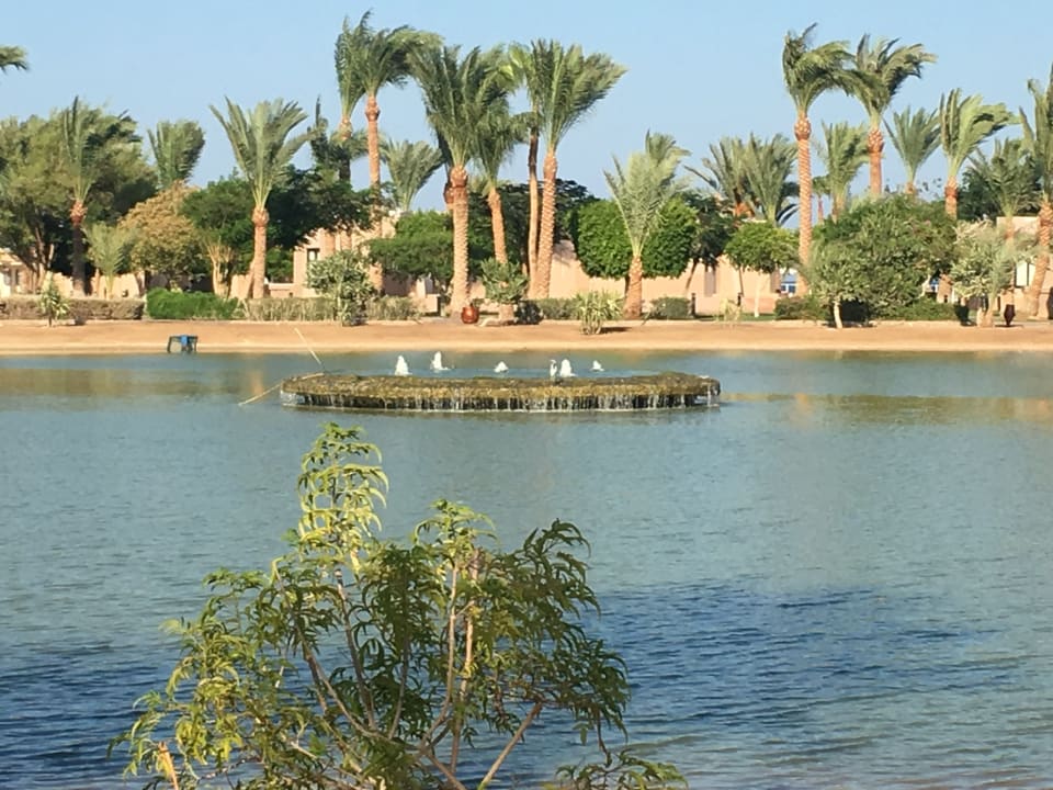 Gartenanlage Pharaoh Azur Resort