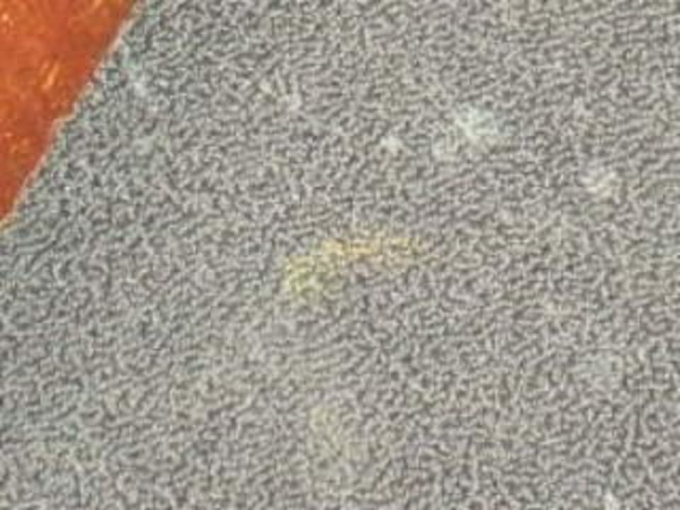 Teppichflecken Hotel Astoria, Best Western Signature Collection