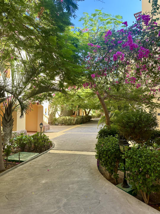 Gartenanlage Steigenberger Coraya Beach - Adults only