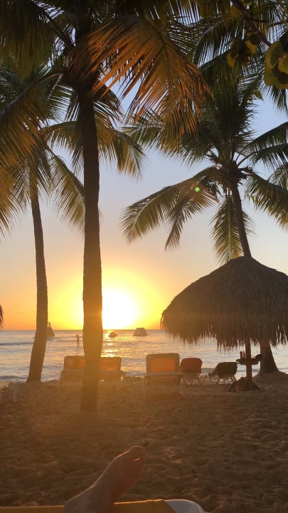 Strand Hotel Viva Dominicus Beach by Wyndham - All Inclusive Resort