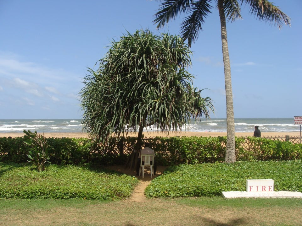 Blick vom Hotel Tangerine Beach Hotel